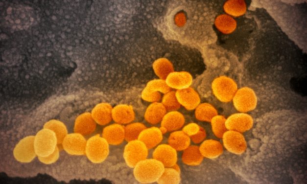 Officials urge Ketchikan to ‘hunker down’ after announcing three new coronavirus cases