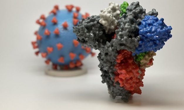 Same-day results for COVID-19 testing limited in Ketchikan