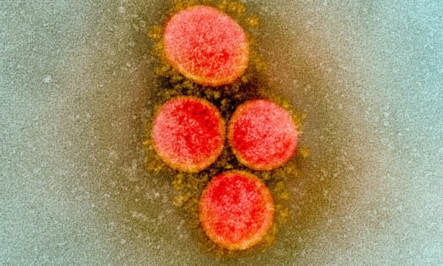 Health officials report 12 new cases of COVID-19 on Prince of Wales Island, 7 in Ketchikan