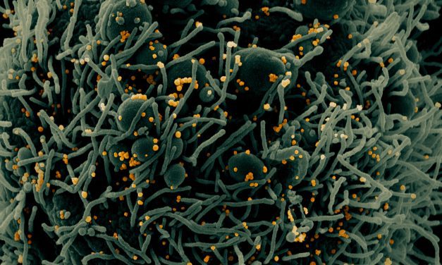 Ketchikan wrestling tournament now linked to more than 20 COVID-19 cases in five Southeast communities