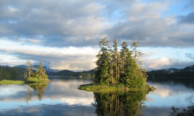 Recall effort in Thorne Bay fails narrowly, leaving council intact