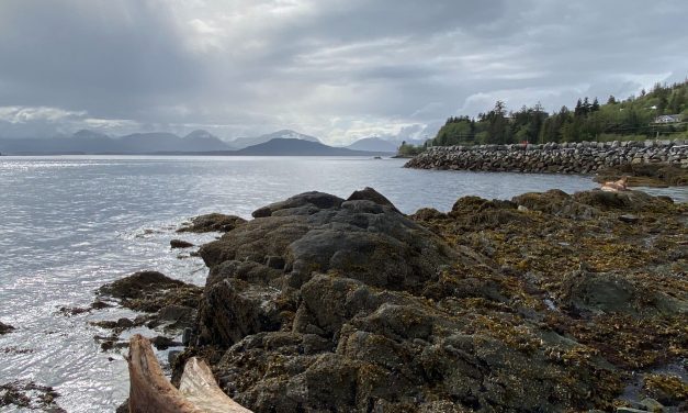 Beach researchers see ‘unique opportunity’ in a season with few cruise ships