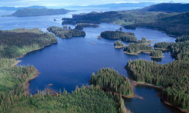 Alaska Supreme Court halts ‘No Name Bay’ land transfer to mental health trust