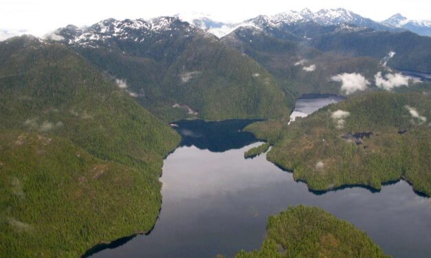 Southern Prince of Wales Island election update