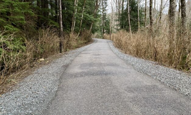 Ketchikan skatepark and trail defaced with racist, homophobic and otherwise hateful graffiti