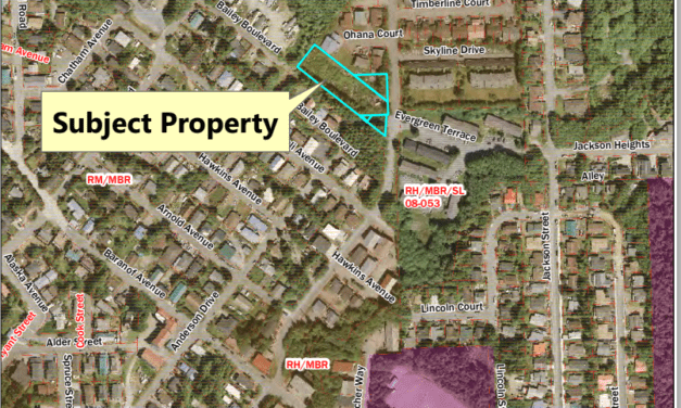 Assembly approves rezone ordinance and bond measure