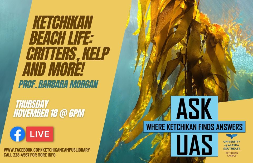 Ask UAS explores Ketchikan beach life