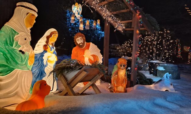 AARP Christmas Light Contest winners announced