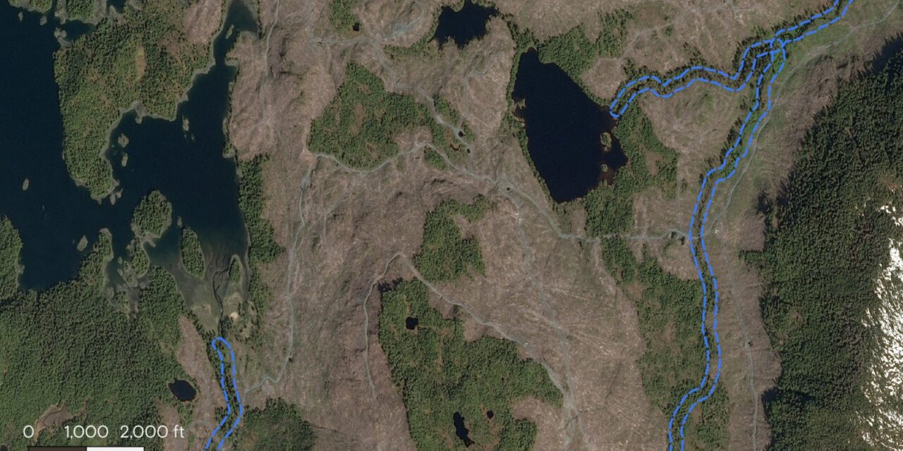 From CoastAlaska, KRBD and Grist: What went wrong in the Tongass National Forest?