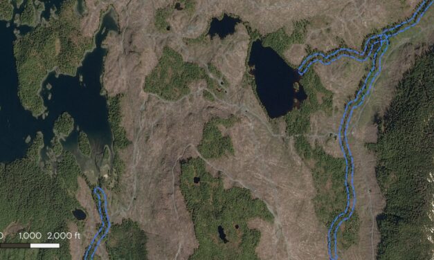 From CoastAlaska, KRBD and Grist: What went wrong in the Tongass National Forest?