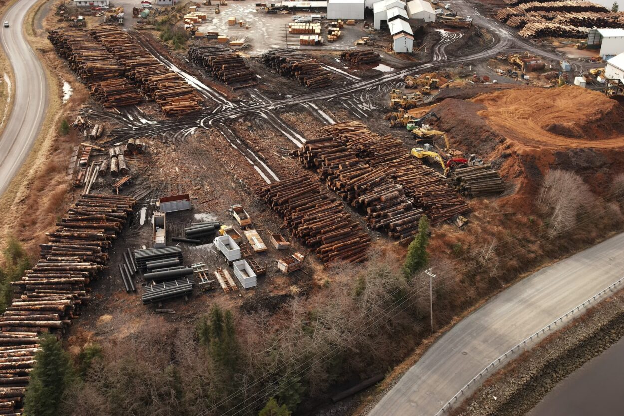 Logs are stacked high in this aerial view of Viking Lumber’s sawmill in Klawock, Alaska.