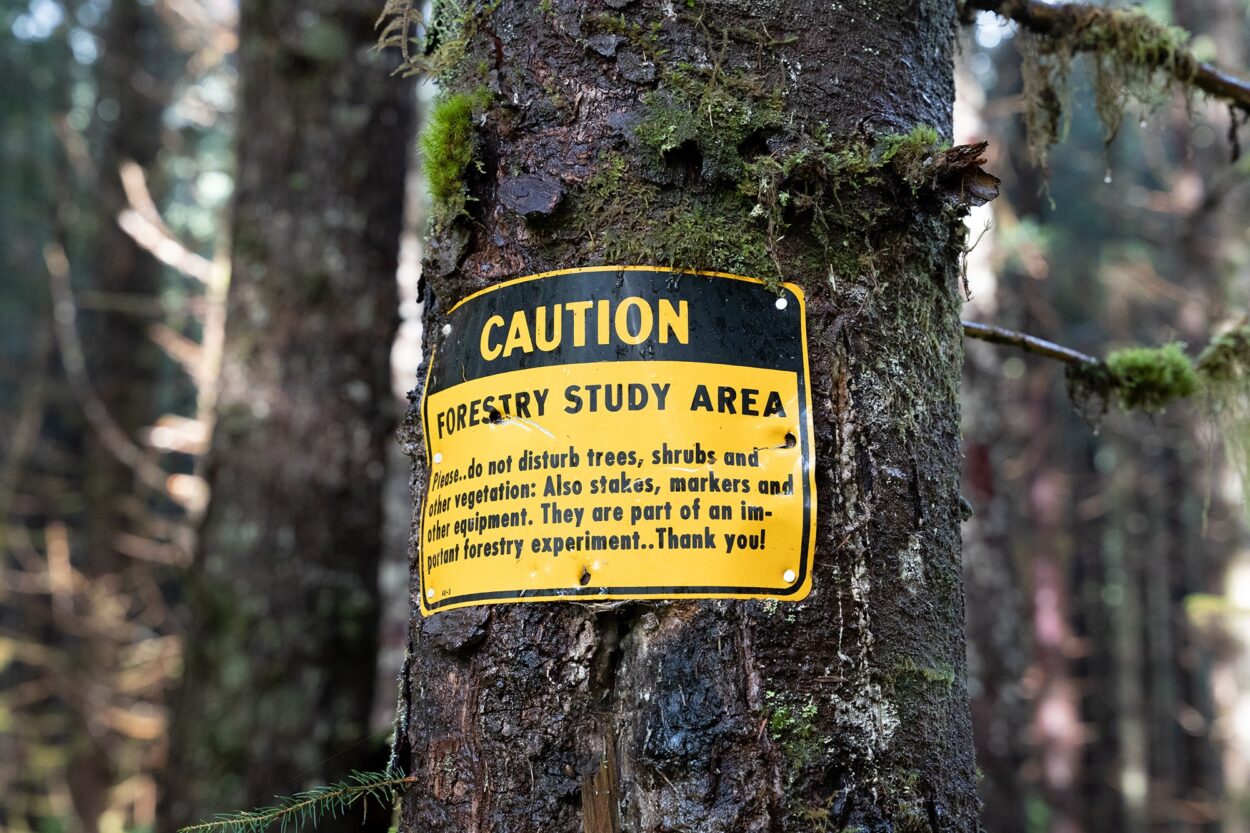 A sign marks a forestry study area in the Harris River area on Alaska’s Prince of Wales Island in 2021. The U.S. Forest Service uses the area to study second-growth forest management techniques, including tree thinning.