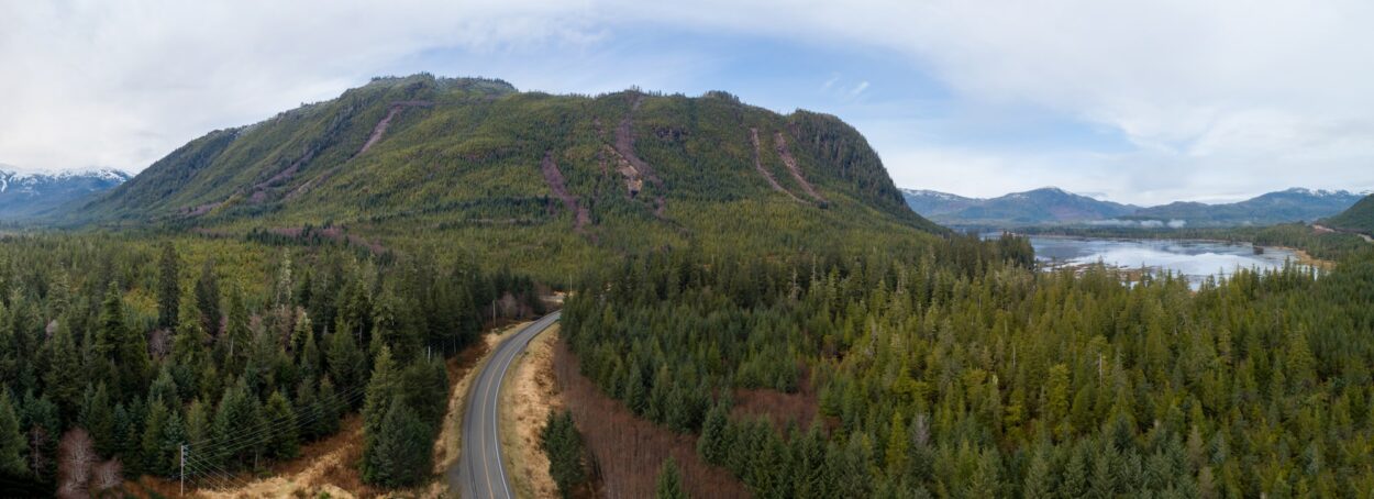 A road curves through the forest on Prince of Wales Island.