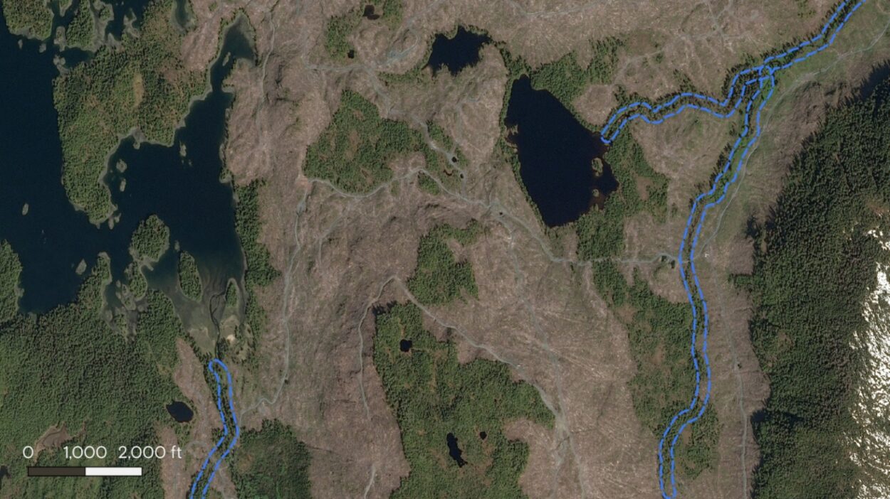 Clear-cut logging on McKenzie Inlet. Blue dashed lines indicate approximate 100-foot buffers around fish-bearing streams.