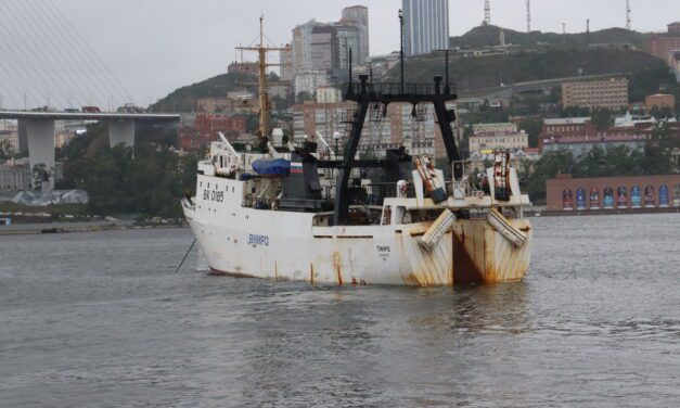 Despite Ukraine invasion, the U.S. and Russia are still working together to solve salmon mysteries