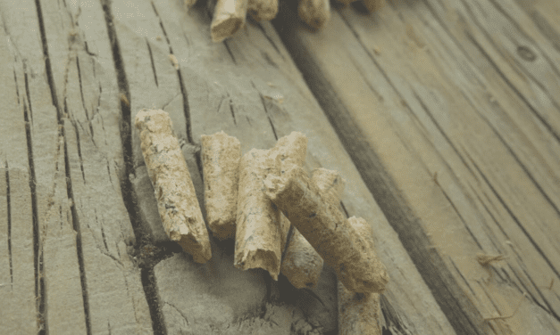 Southeast Conference pitches wood pellet production in Ketchikan