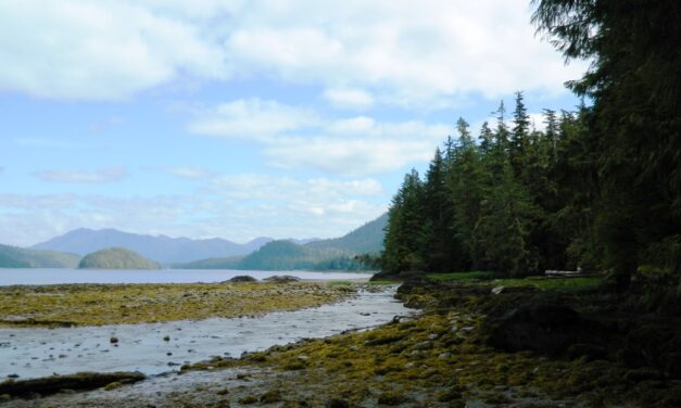 Father and two young children rescued from Ketchikan’s Lunch Creek Trail