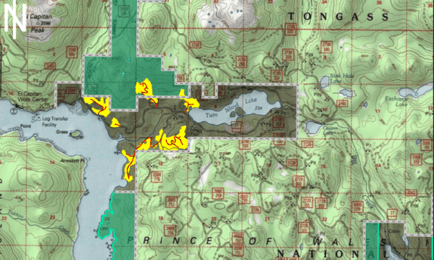 State proposes timber sale near El Capitan cave on northern Prince of Wales Island