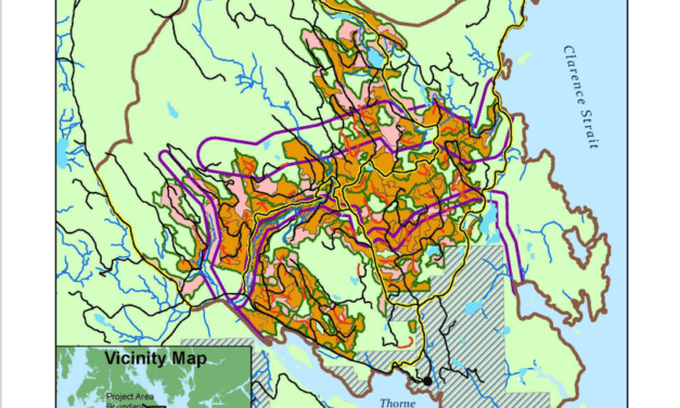 Forest Service proposes young growth timber sale near Thorne Bay