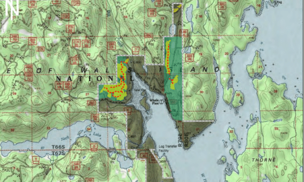 Prince of Wales council drafts a letter joining Whale Pass in opposing an old-growth timber sale