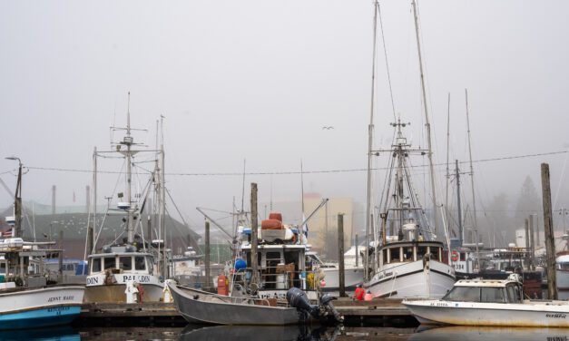 Southeast Alaska communities set to join growing chorus opposing lawsuit that threatens Chinook shutdown