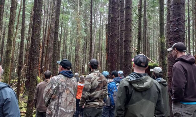 Scientists present theories for deer decline at Prince of Wales Island deer summit