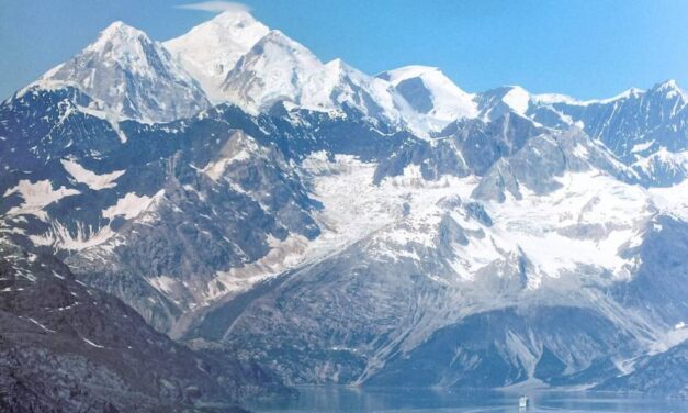 A cub at Glacier Bay National Park was the first US bear to test positive for highly pathogenic avian influenza
