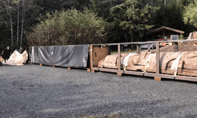 Kasaan welcomes Yáadaas clan pole home after more than a century
