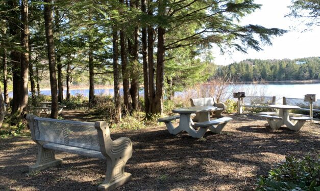 Metlakatla to teach about traditional language and plants through tourism grant