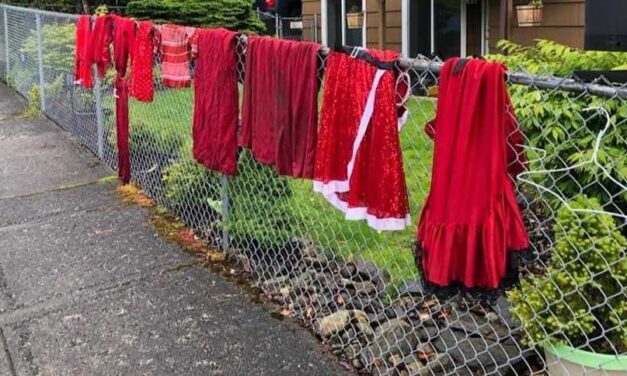 Clothes missing from Ward Lake installation on Murdered and Missing Indigenous People turn up in ditches, near culverts