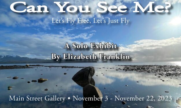 “Can You See Me?” comes to the Main Street Gallery