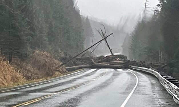 Landslides and power outages across Ketchikan and Prince of Wales