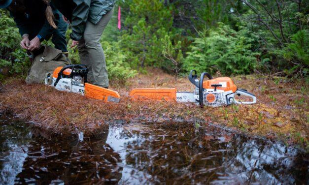 Ketchikan sends this year’s Together Tree to the Governor’s Mansion