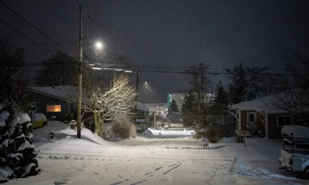 Ketchikan sees over a foot of snow in 24 hours