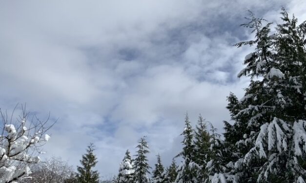 Community Advisory Board to meet Feb. 20