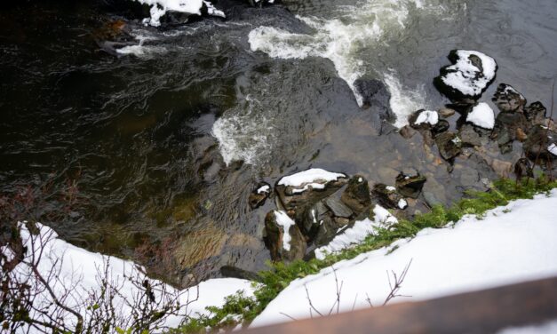 Ketchikan resident survives fall from cliff