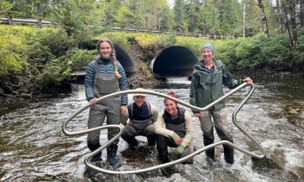 Federal funds help restore a salmon stream near Klawock and other fish passage projects around the state