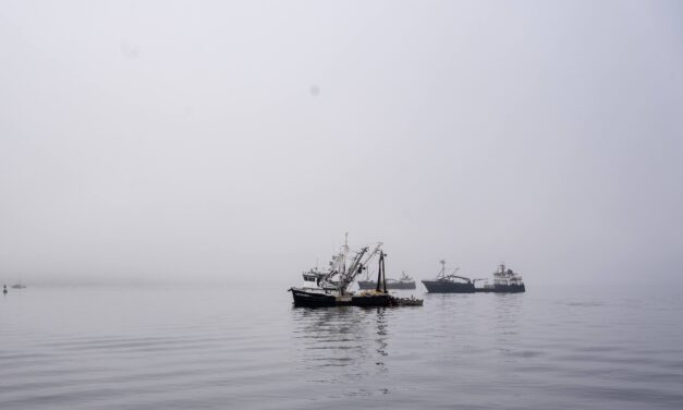 Southeast Alaska fishermen qualify for federal salmon disaster relief. The deadline to apply is fast approaching.