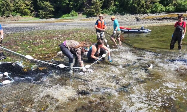 New online tool for subsistence users in Southeast Alaska