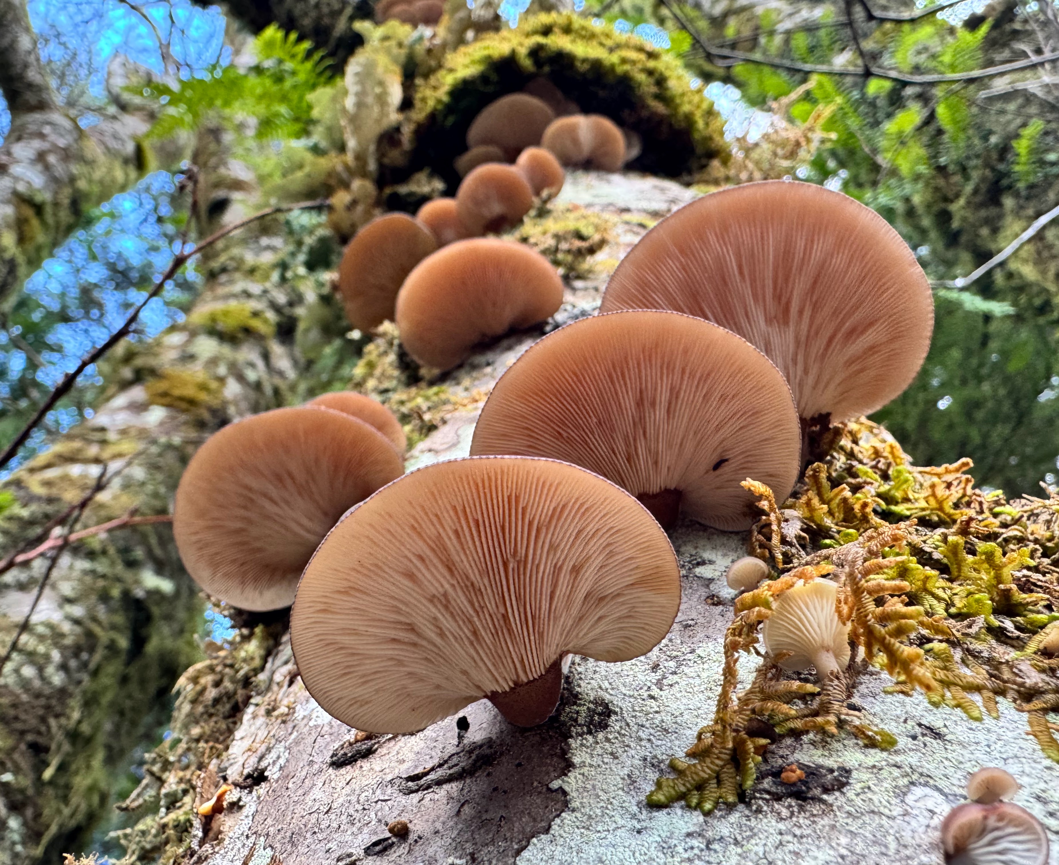 Southern Southeast Alaska Photo of the Day