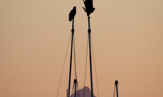 Southern Southeast Alaska Photo of the Day