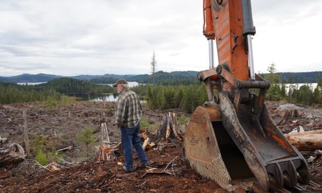 With Trump’s new pro-timber order, Alaska conservationists poised to rehash Tongass Roadless Rule