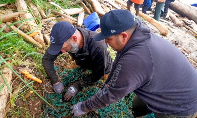 Tlingit & Haida awarded $3 million for coastal habitat restoration