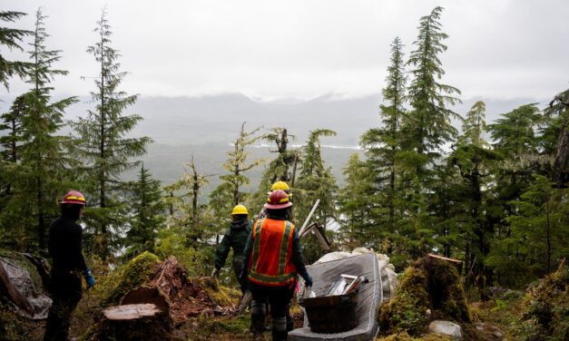 USDA says it will reinstate all fired probationary employees