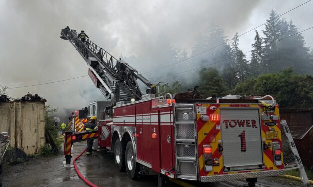 South end fire injures one and claims at least one animal’s life