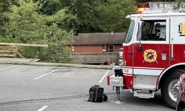 Local man’s heroics save Ketchikan woman after Creek Street crash