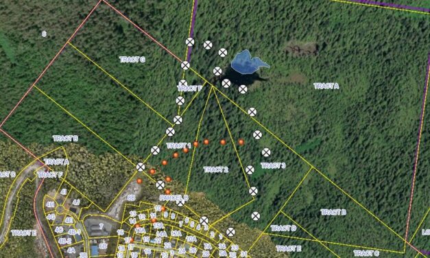 Borough accepting public comment on proposed timber sales