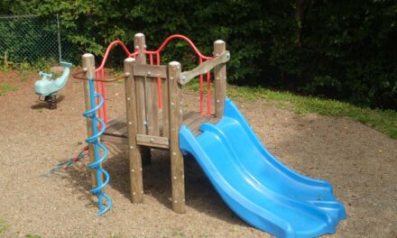 Borough Assembly approves funding for Lund Street Park construction
