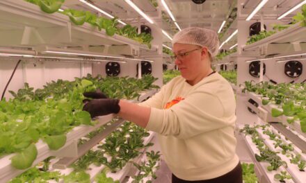 ‘This gives me a little control’; Ketchikan organizations respond to SNAP delays