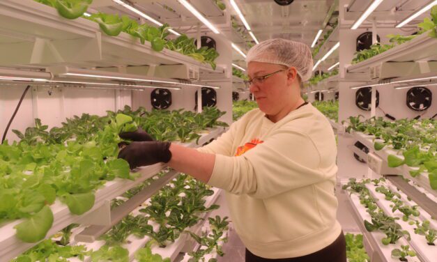 ‘This gives me a little control’; Ketchikan organizations respond to SNAP delays